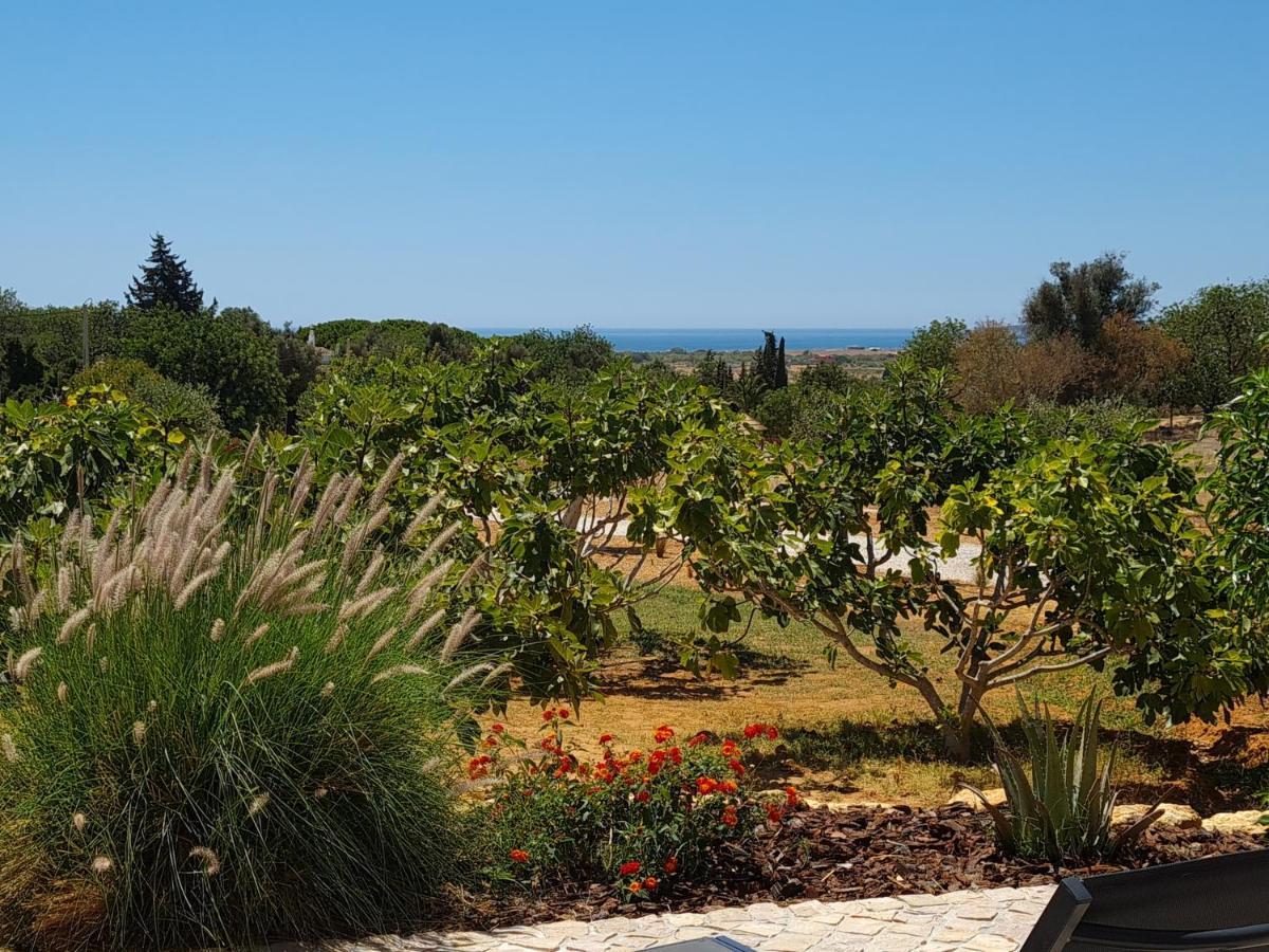 Bed and Breakfast Monte Da Saudade Sesmarias Exterior foto