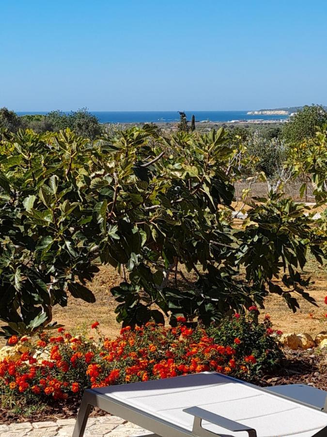 Bed and Breakfast Monte Da Saudade Sesmarias Exterior foto