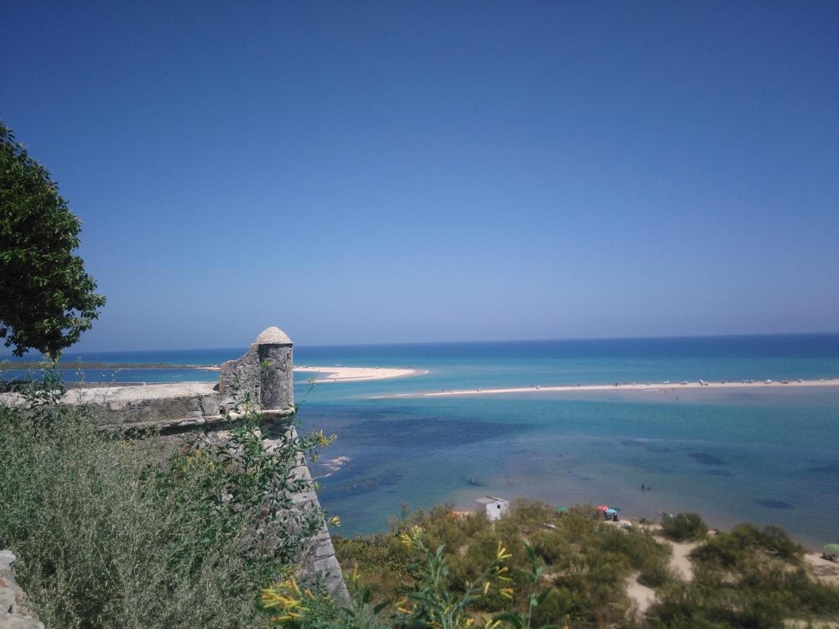 Bed and Breakfast Monte Da Saudade Sesmarias Exterior foto